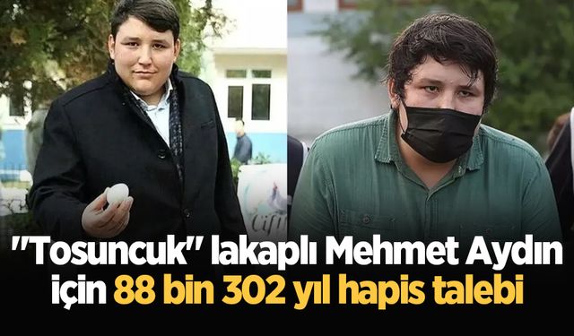 "Tosuncuk" lakaplı Mehmet Aydın için 88 bin 302 yıl hapis talebi