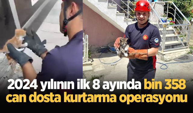 2024 yılının ilk 8 ayında bin 358 can dosta kurtarma operasyonu