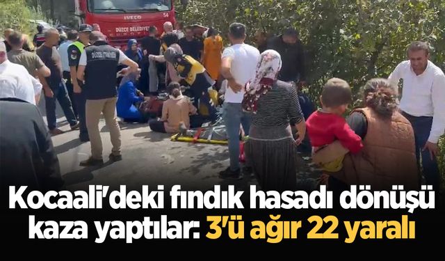 Kocaali'deki fındık hasadı dönüşü kaza yaptılar: 3'ü ağır 22 yaralı