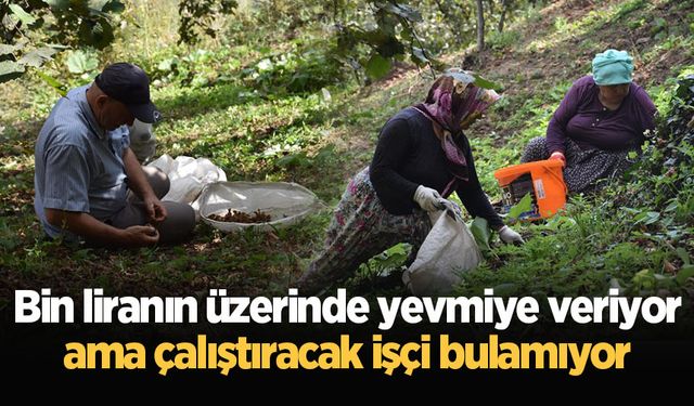 Bin liranın üzerinde yevmiye veriyor ama çalıştıracak işçi bulamıyor