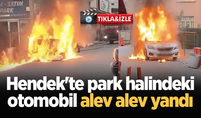 Hendek'te park halindeki otomobil alev alev yandı