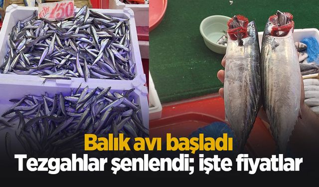 Balık sezonu açıldı: Balıklar tezgahlardaki yerini aldı