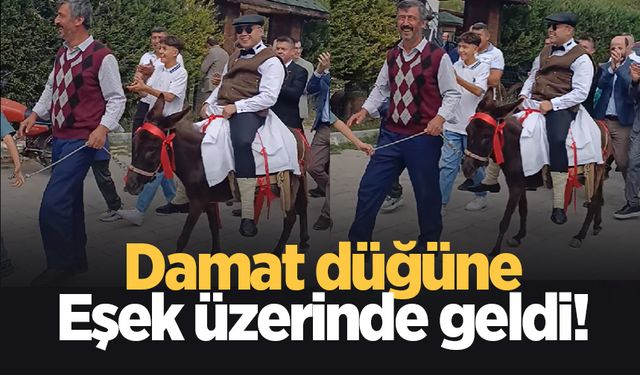 Sıradışı düğün; Damat eşekle getirildi!