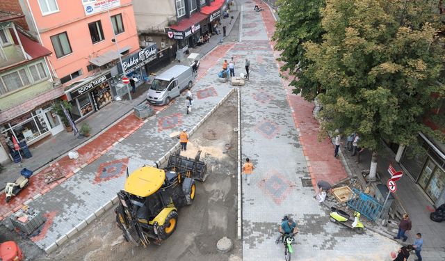 Hendek merkezdeki çalışmalar devam ediyor