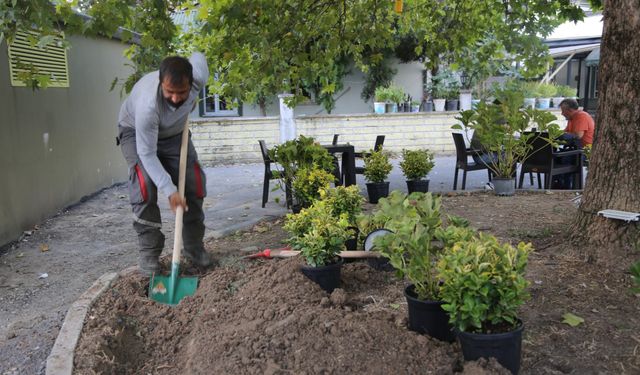 Fatih Camii bahçesine renkli bir dokunuş