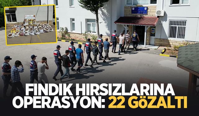 Fındık hırsızlarına suçüstü: 22 gözaltı