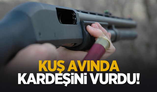 Avda kazara kardeşini vurdu