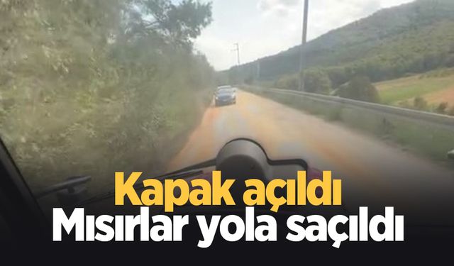 Kamyonun kapağı açıldı yol mısır tarlasına döndü