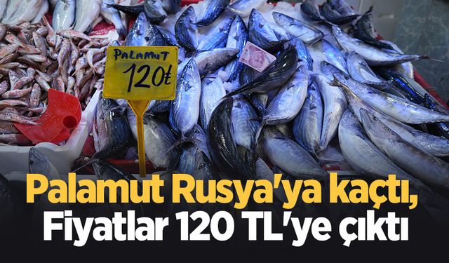 Palamut Rusya'ya kaçtı, fiyatlar 50 TL'den 120 TL'ye çıktı