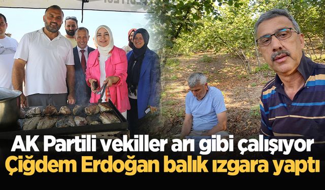 AK Partili vekiller arı gibi çalışıyor: Çiğdem Erdoğan balık ızgara yaptı