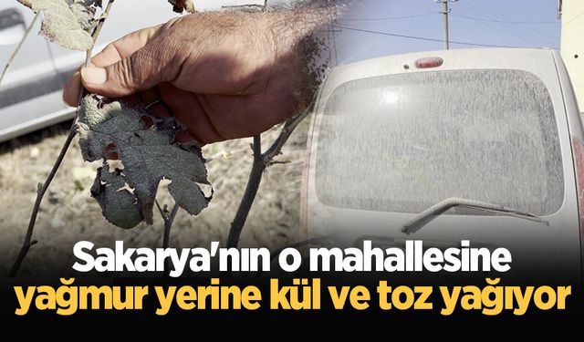 Sakarya'nın o mahallesine yağmur yerine kül ve toz yağıyor