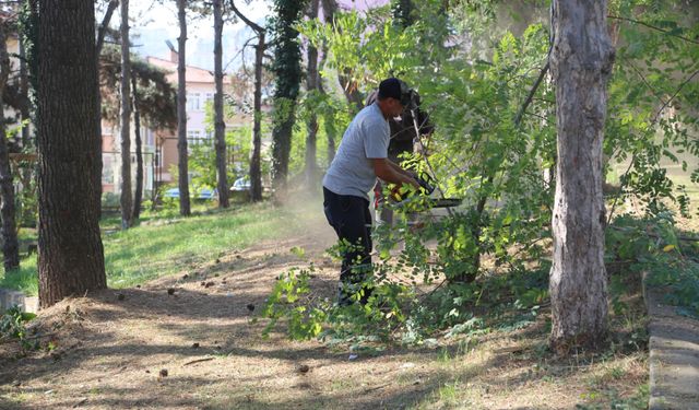 Serdivan'da yeşil alanlar daha bakımlı hale geliyor