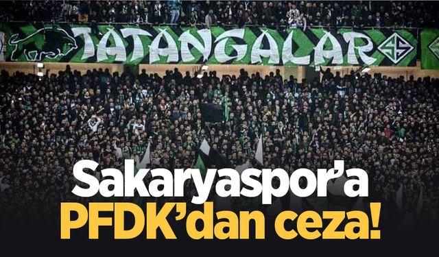 Sakaryaspor'un cezası belli oldu