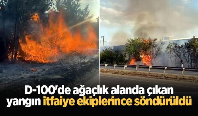 D-100'de ağaçlık alanda çıkan yangın itfaiye ekiplerince söndürüldü