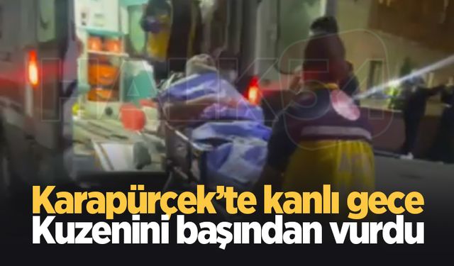 Kuzenini silahla vurup ağır yaraladı