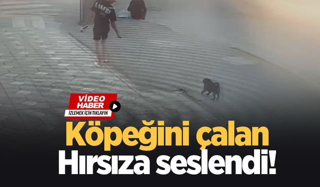 Köpeğin çalındığı anlar kamerada