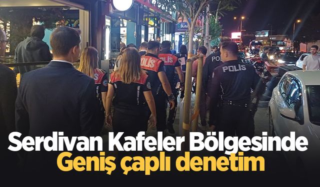 Sakarya’da kafeler bölgesinde denetim