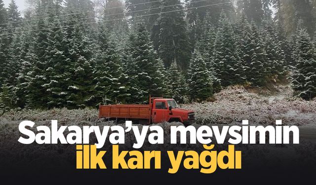 Sakarya'ya kar yağdı!