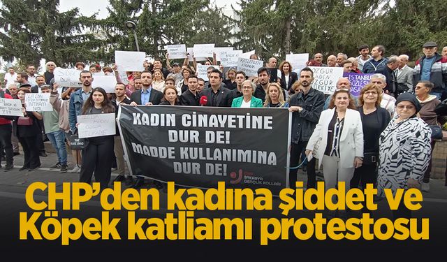 CHP'den kadına şiddet protestosu