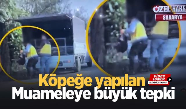 Bu görüntü tepki çekti