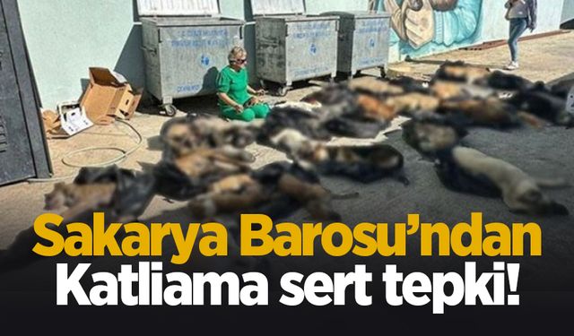 Sakarya Barosu'ndan Gebze'deki katliama ilişkin açıklama