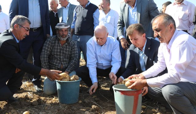 TZOB Başkanı Bayraktar patates ve soğan hasadına katıldı