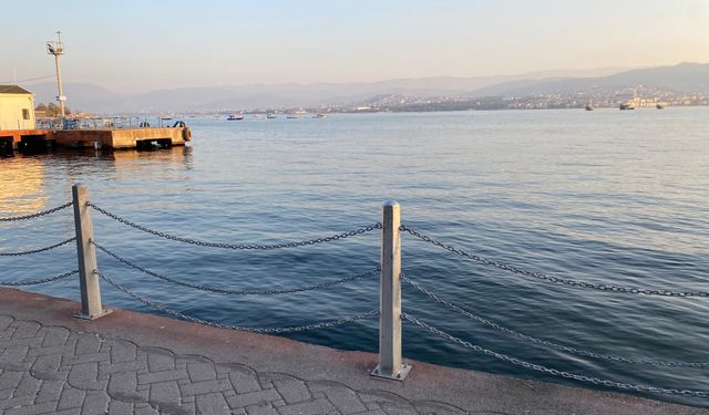 Bağırarak denize atlayan kız çocuğunu vatandaşlar kurtardı