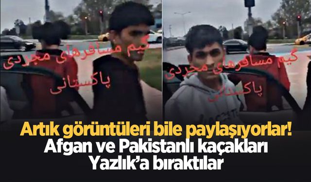 Afgan ve Pakistanlı kaçakları Yazlık'a bıraktılar