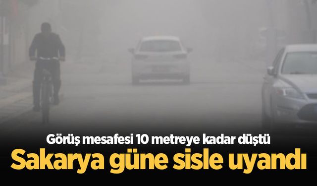 Sakarya güne sisle uyandı: Görüş mesafesi 10 metreye kadar düştü