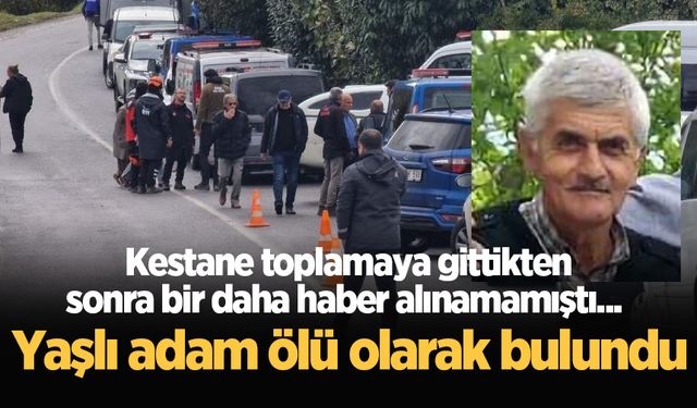 Kestane toplamaya gittikten sonra bir daha haber alınamamıştı... Yaşlı adam ölü olarak bulundu