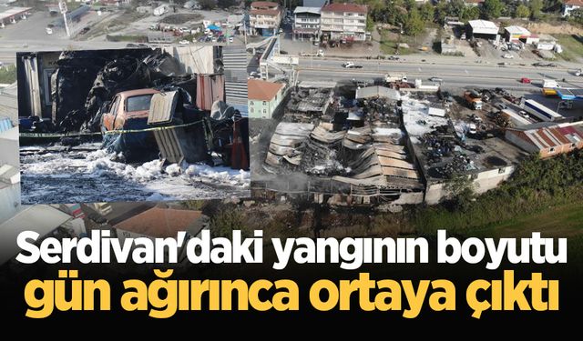 Serdivan'daki yangının boyutu gün ağırınca ortaya çıktı