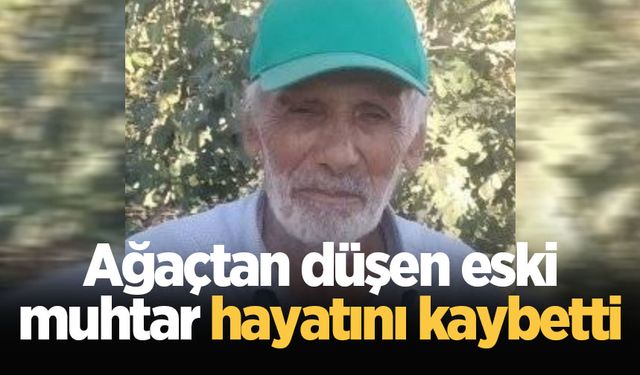 Ayva ağacından düşen eski muhtar hayatını kaybetti