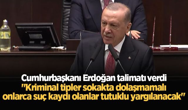 Cumhurbaşkanı Erdoğan: Kriminal tipler sokakta dolaşmamalı, onlarca suç kaydı olanlar tutuklu yargılanacak