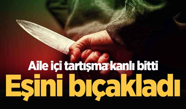 Aile içi tartışma kanlı bitti: Eşini bıçakladı