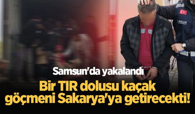 Bir TIR dolusu kaçak göçmeni Sakarya'ya getirecekti! Samsun'da yakalandı