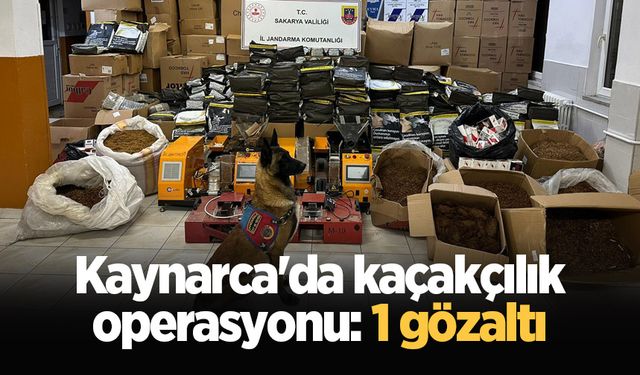 Kaynarca'da kaçakçılık operasyonu: 1 gözaltı