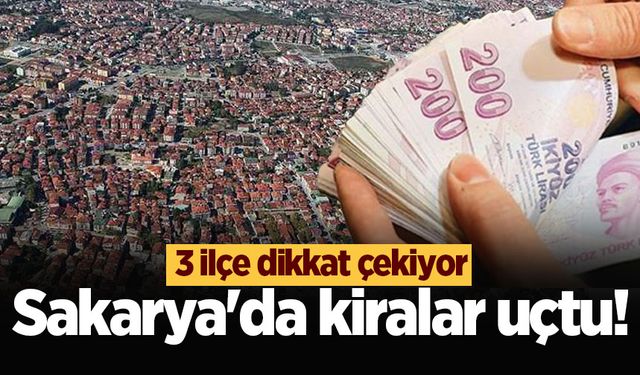 Sakarya'da kiralar uçtu! 3 ilçe dikkat çekiyor