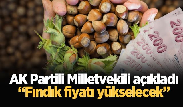 AK Partili Milletvekili açıkladı: “Fındık fiyatı yükselecek”