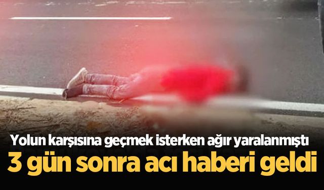 Yolun karşısına geçmek isterken ağır yaralanmıştı, 3 gün sonra acı haberi geldi