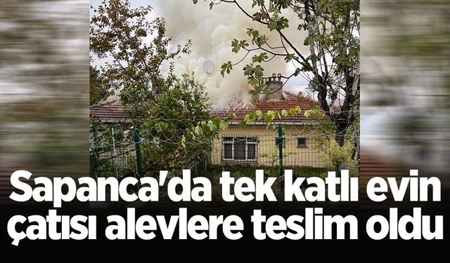 Sapanca'da tek katlı evin çatısı alevlere teslim oldu