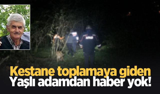 Kestaneye toplamaya giden yaşlı adamdan haber yok