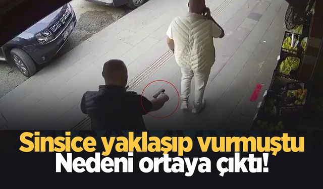 Sinsice yaklaşıp vurmuştu, nedeni ortaya çıktı