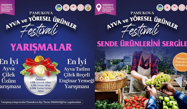 Pamukova Ayva ve Yöresel Ürünler Festivali için geri sayım başladı