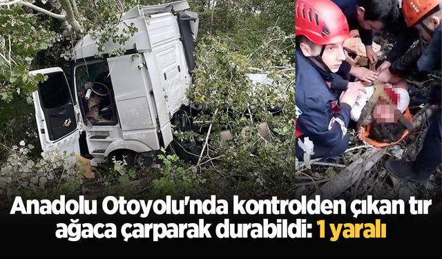 Anadolu Otoyolu'nda kontrolden çıkan tır, ağaca çarparak durabildi: 1 yaralı