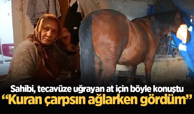 Sahibi, tecavüze uğrayan at için böyle konuştu: “Kuran çarpsın ağlarken gördüm”