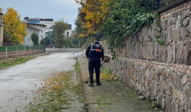 Serdivan'da temizlik seferberliği devam ediyor