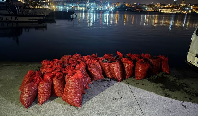 2 ton kaçak midye ele geçirildi