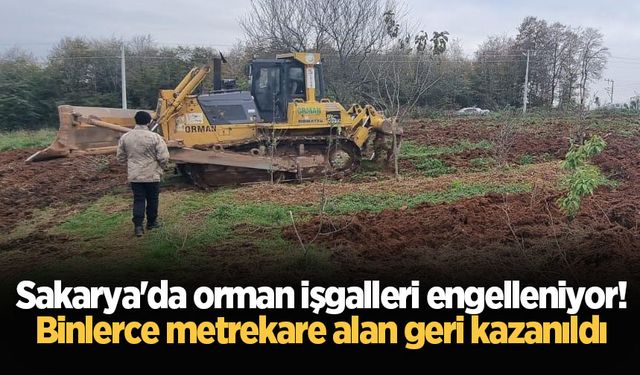 Sakarya'da orman işgalleri engelleniyor! Binlerce metrekare alan geri kazanıldı