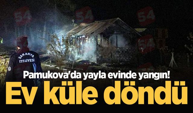 Pamukova'da yayla evinde yangın! Ev küle döndü