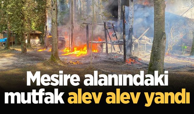 Mesire alanındaki mutfak alev alev yandı